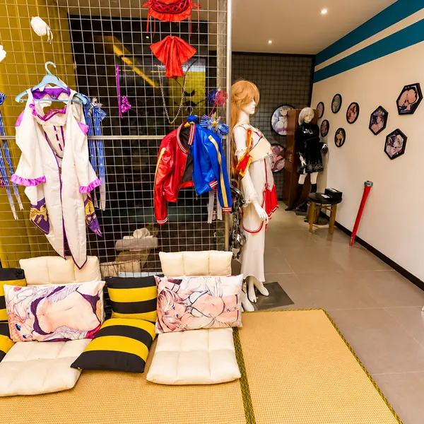 Costume display room for themed styling