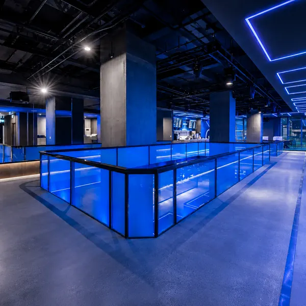 Blue-lit multi-level showcase hall