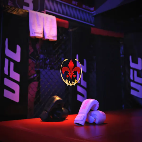 UFC themed wall with waterbed setup